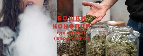 прущие грибы Володарск