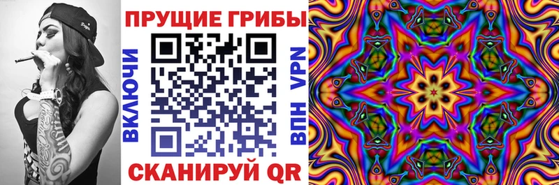 Псилоцибиновые грибы Cubensis  Медногорск 