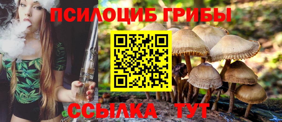 Медногорск  Псилоцибиновые грибы мицелий  Вход с VPN 